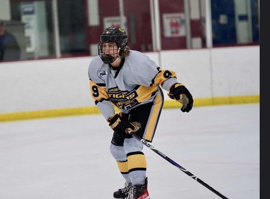 TENDER ALERT: FINN THERIAULT