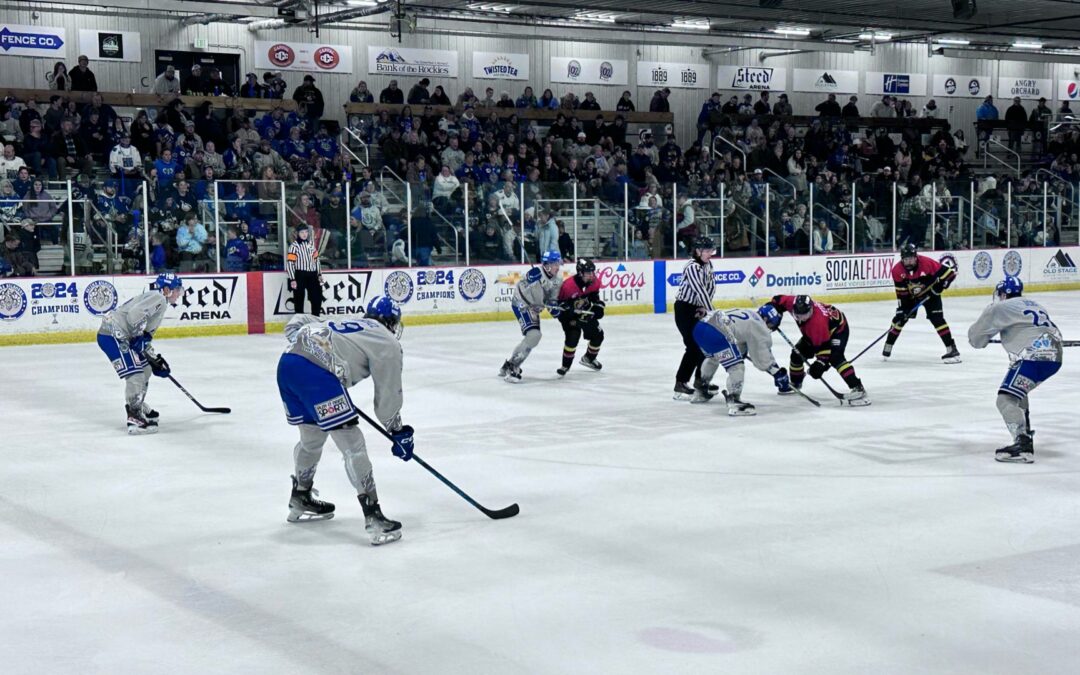 bighorns blow out the wild with two wins and high goal games