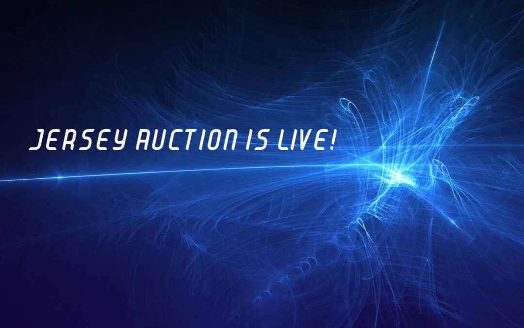 online auction is open!