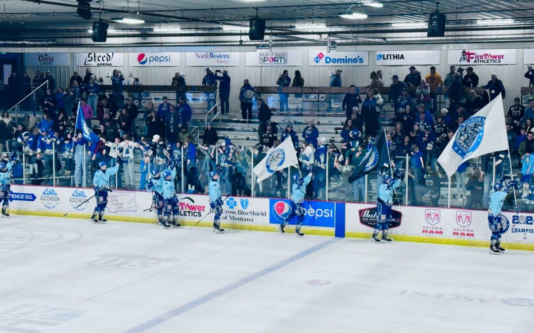 bighorns dominate the sabres in game two