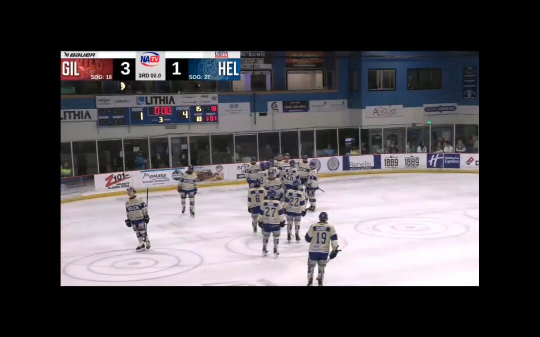 bighorns fall short to the wild 4-1