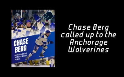 chase berg called up to the nahl